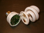 CFL split open at ballast - tube joint.