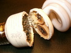 TCP EDXO-14 CFL Image