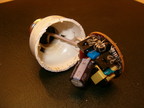 TCP EDXO-14 CFL Image