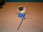 Photo Gallery CFLED Lamp 1 Photo