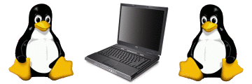 Tux, the Linux Mascot with an HP Laptop